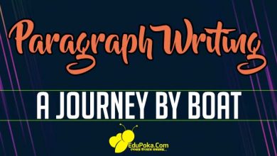 Photo of A Journey By Boat Paragraph Writing