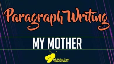 My Mother Paragraph Writing