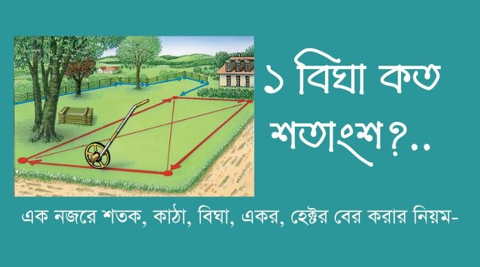 ১ বিঘা কত শতাংশ